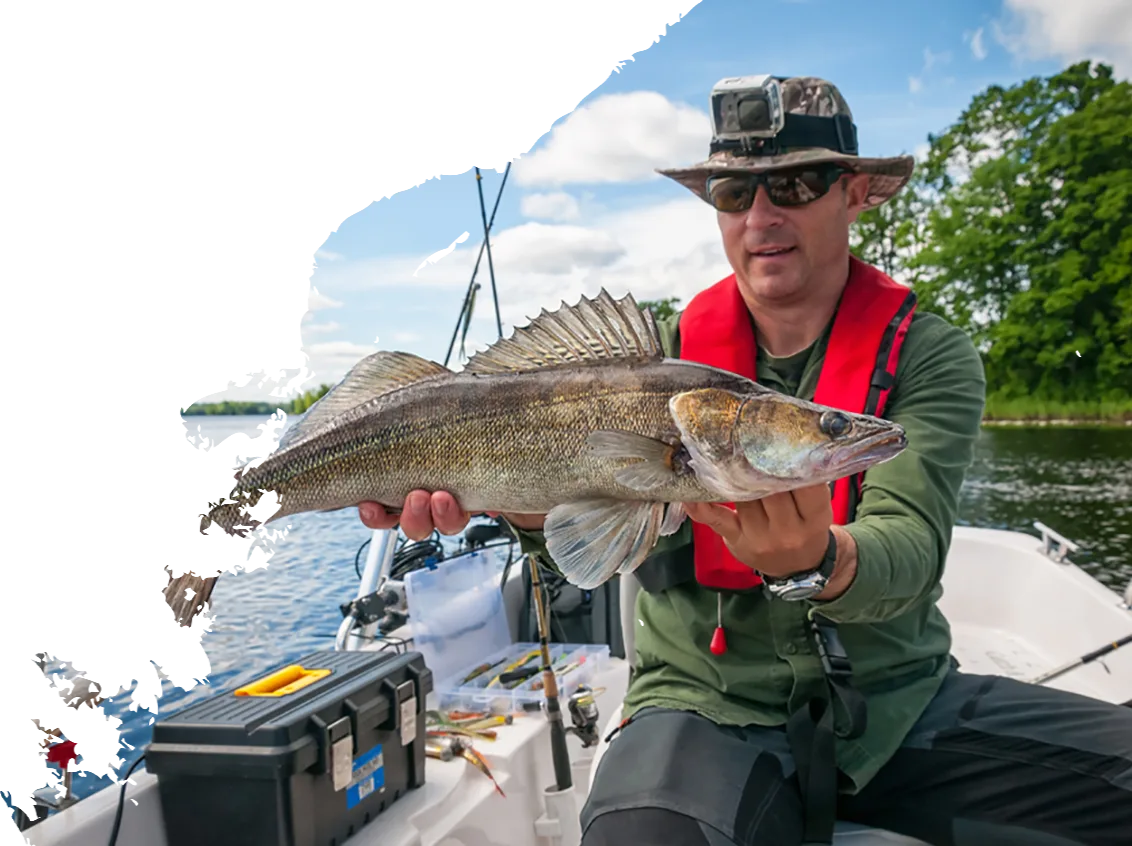 Modern Design Gears Fishing Rods - 沙巴体育平台